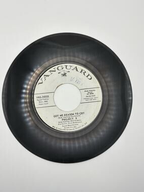Project X Got No Reason To Cry Vanguard 45 RPM 7" Promo Folk Rock Vinyl Single